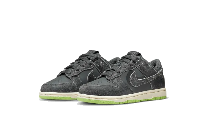 Nike Dunk Low Swoosh Shadow Iron Grey Enfant (PS)