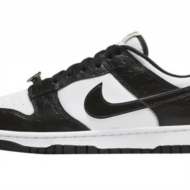 Nike dunk low world champ