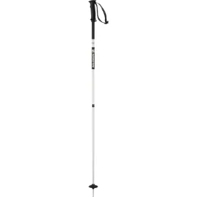 Salomon X North Ski Poles Adult 2024